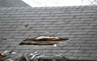 Signs Your Roof May Be Rotting