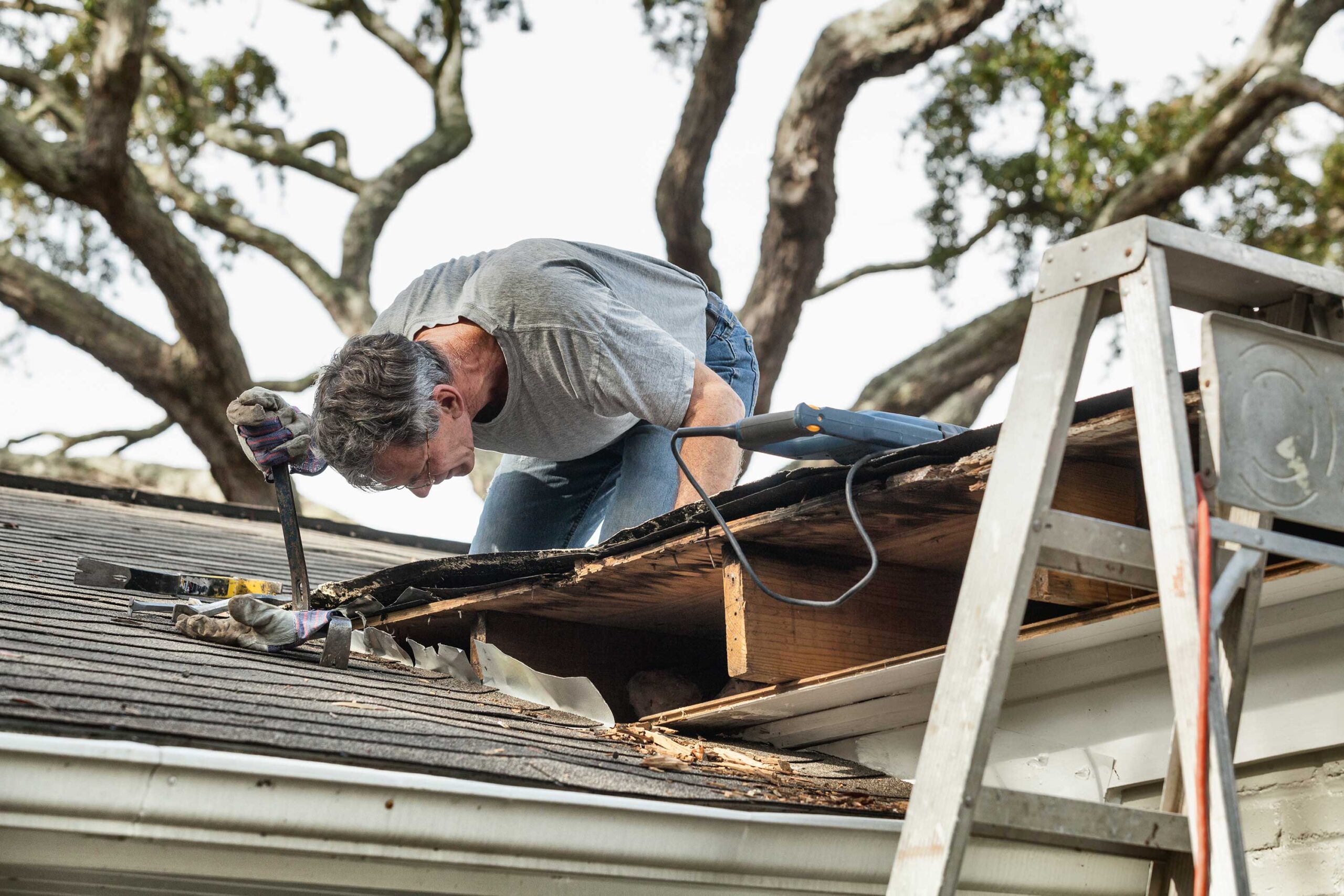 storm damage roof repair in Dallas