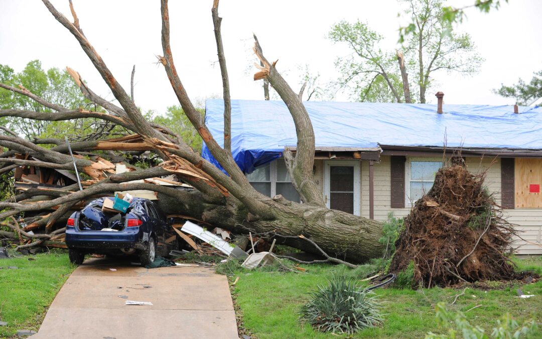 6 Things to Do after a Storm Damages Your Roof in Dallas