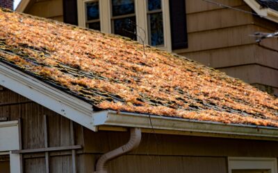 4 Common Roof Problems Facing Chattanooga Homeowners this Spring