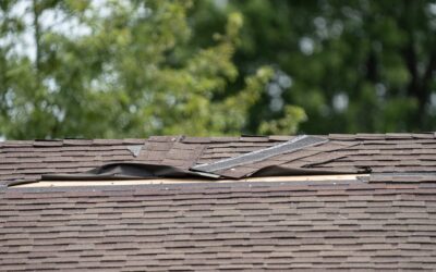 6 Steps to Take after a Storm Damages Your Brentwood Roof