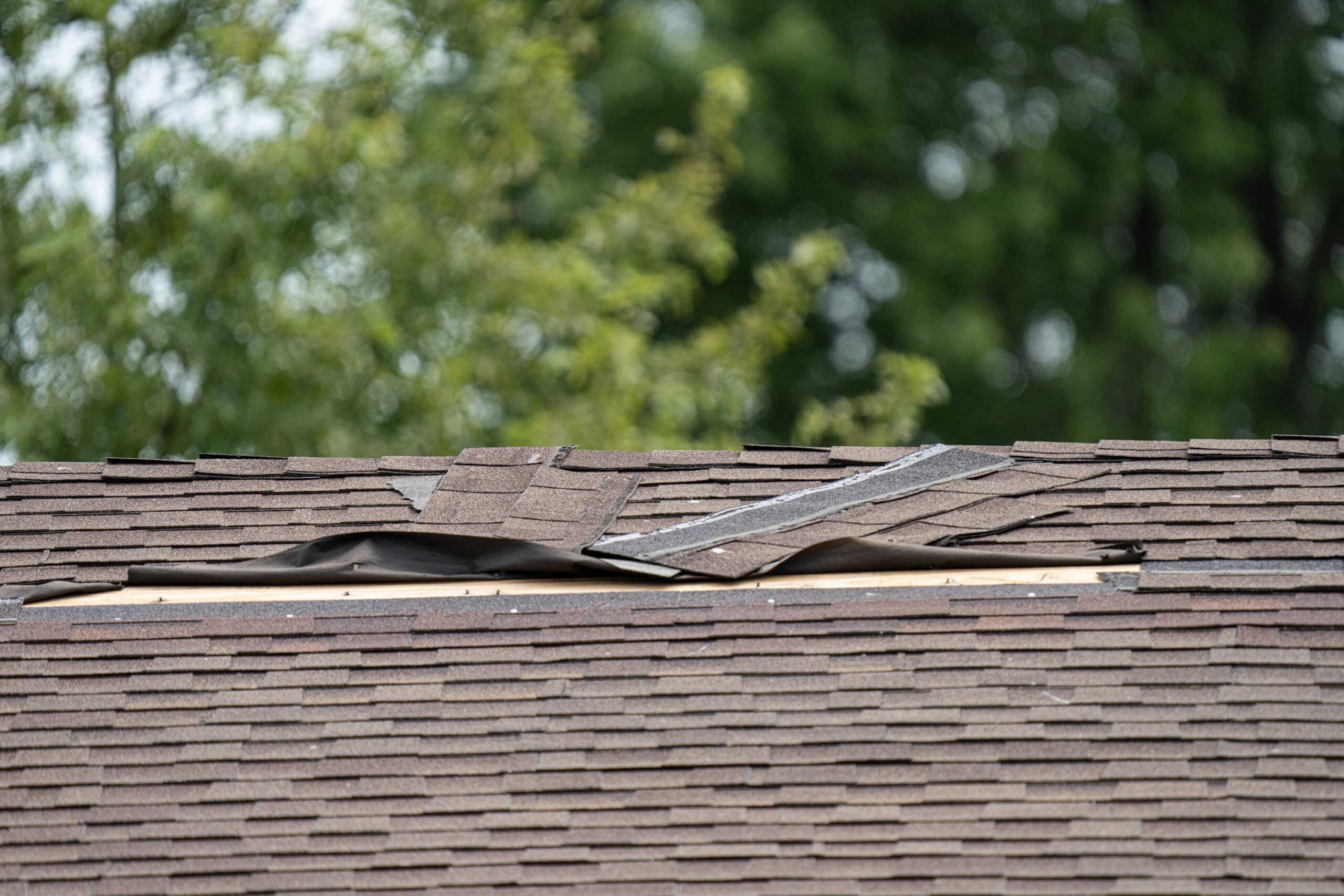 6 Steps to Do to a Storm Damaged Roof in Brentwood | Force Roofing Systems