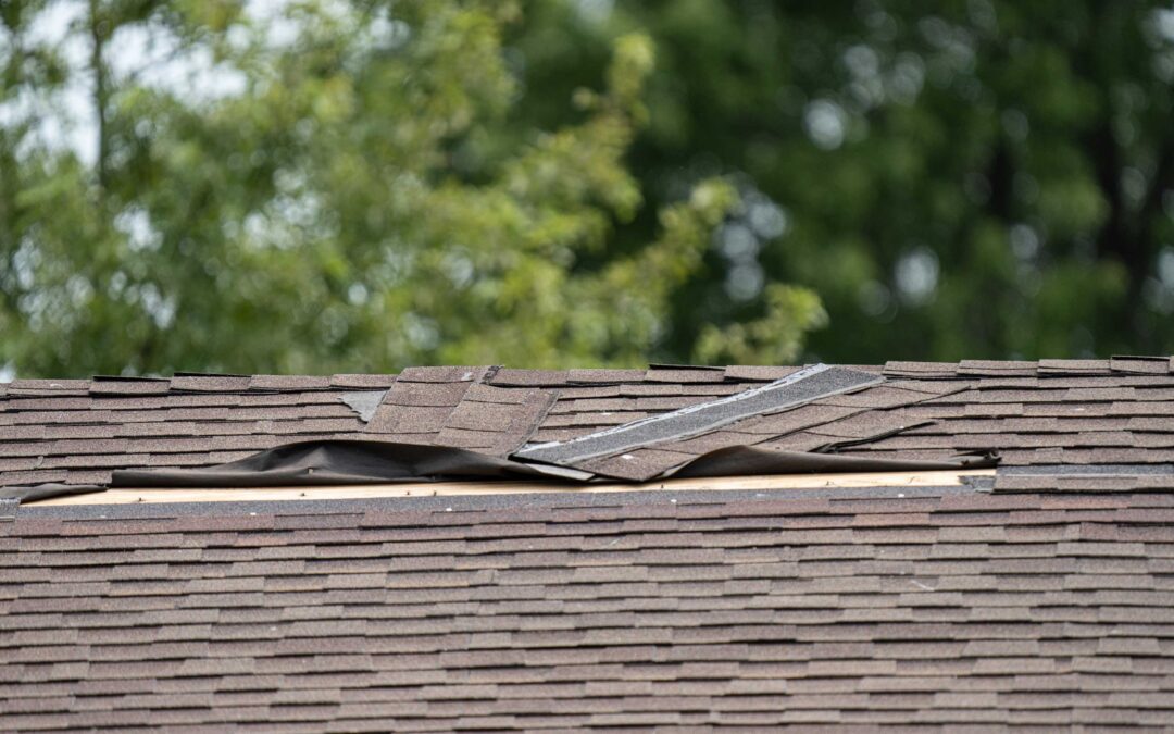 Your Guide to Roof Wind Damage in Red Bank