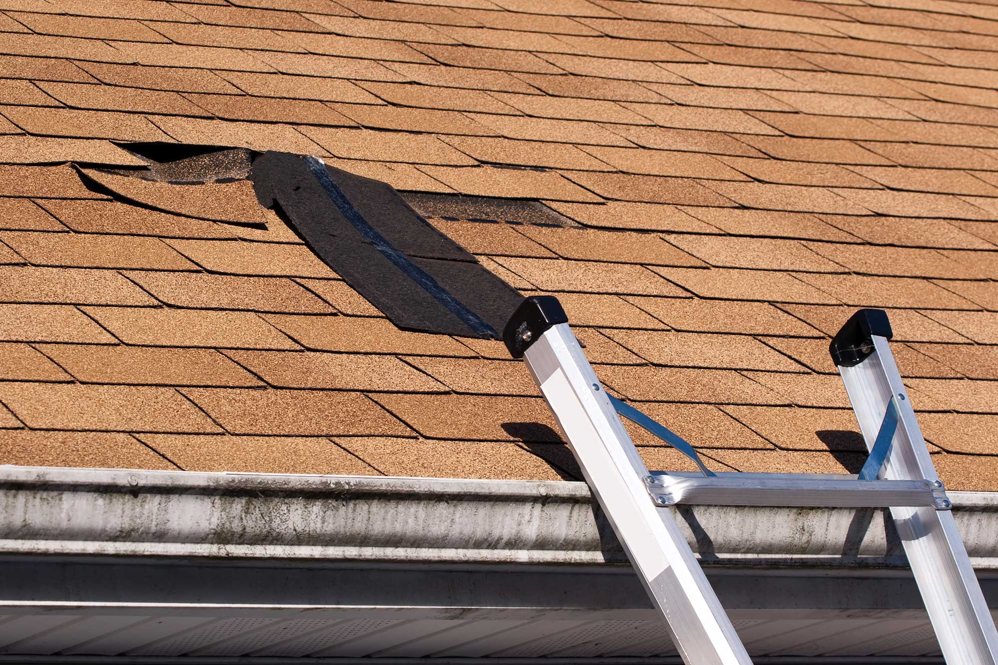 roof wind damage, roof storm damage, wind damage repair