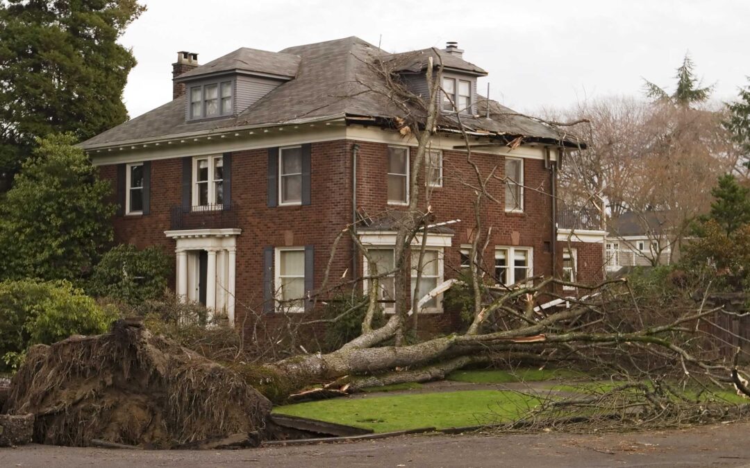 Guide to Storm Damage Insurance Rights in Tennessee