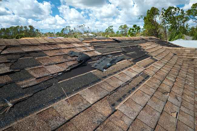 best local roof repair contractor