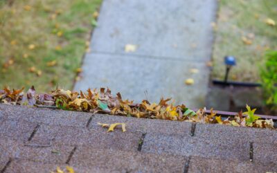 Fall Roof Maintenance Checklist: Essential Tips for Chattanooga