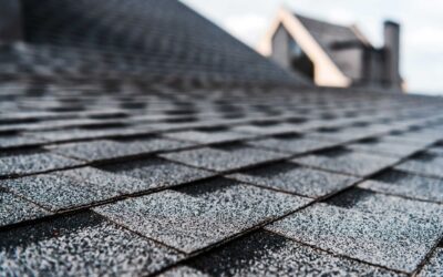 Why Choose Impact Resistant Shingles in Chattanooga