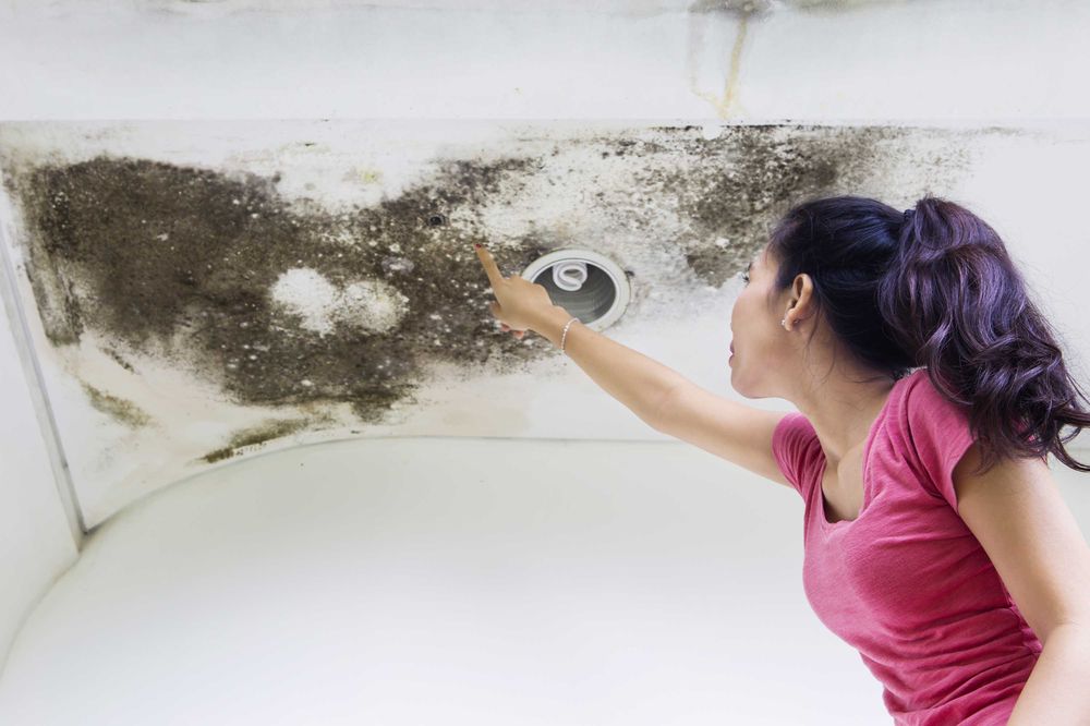 Signs of a Leaking Roof: Why Is My Roof Leaking in Franklin