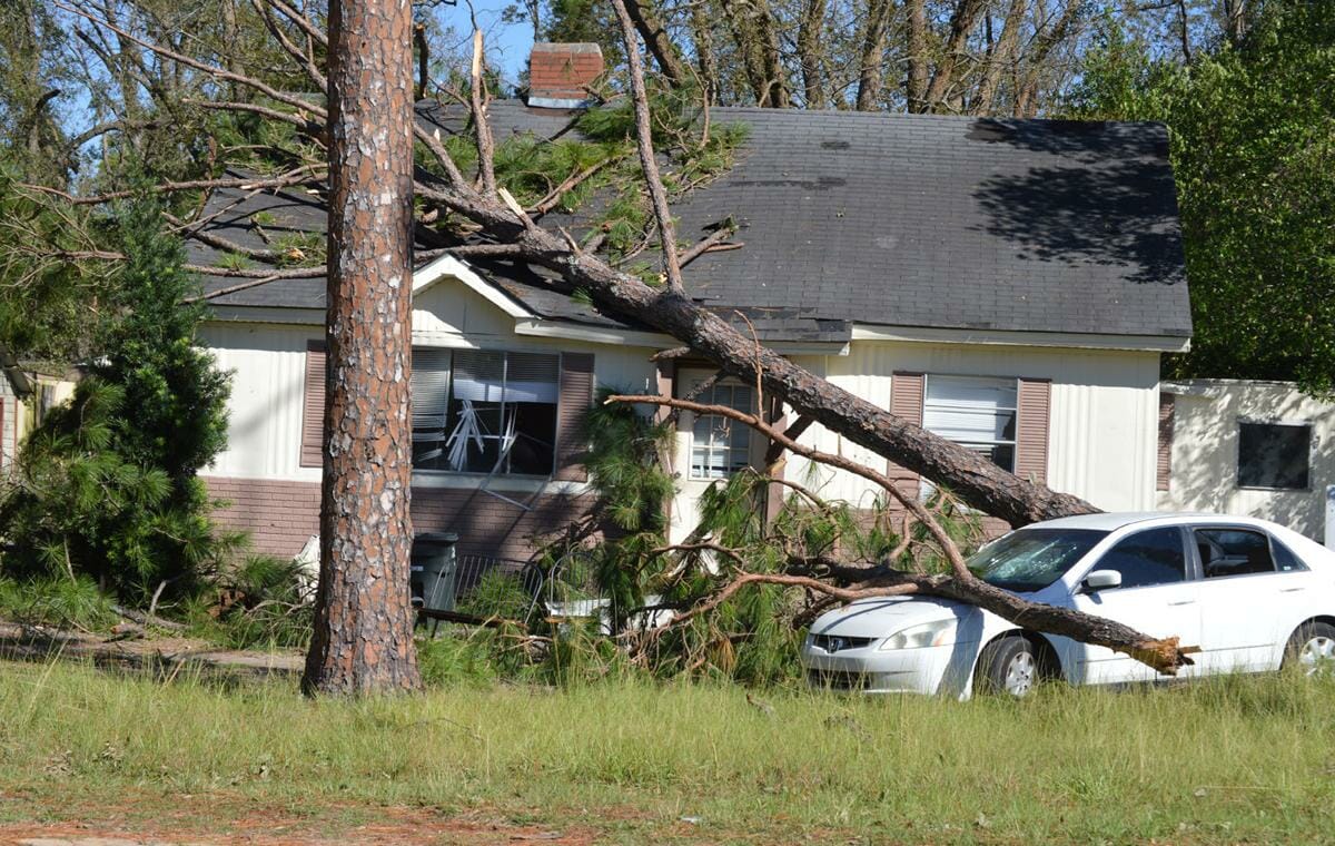 Fallen tree on a residential roof needing an emergency roof repair in Franklin, TN